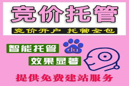 竞价托管实战：从零到一的成长之路